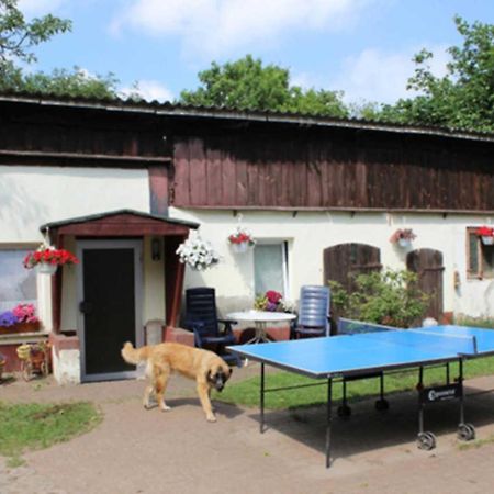 Apartmán Heidi Zinnowitz Exteriér fotografie