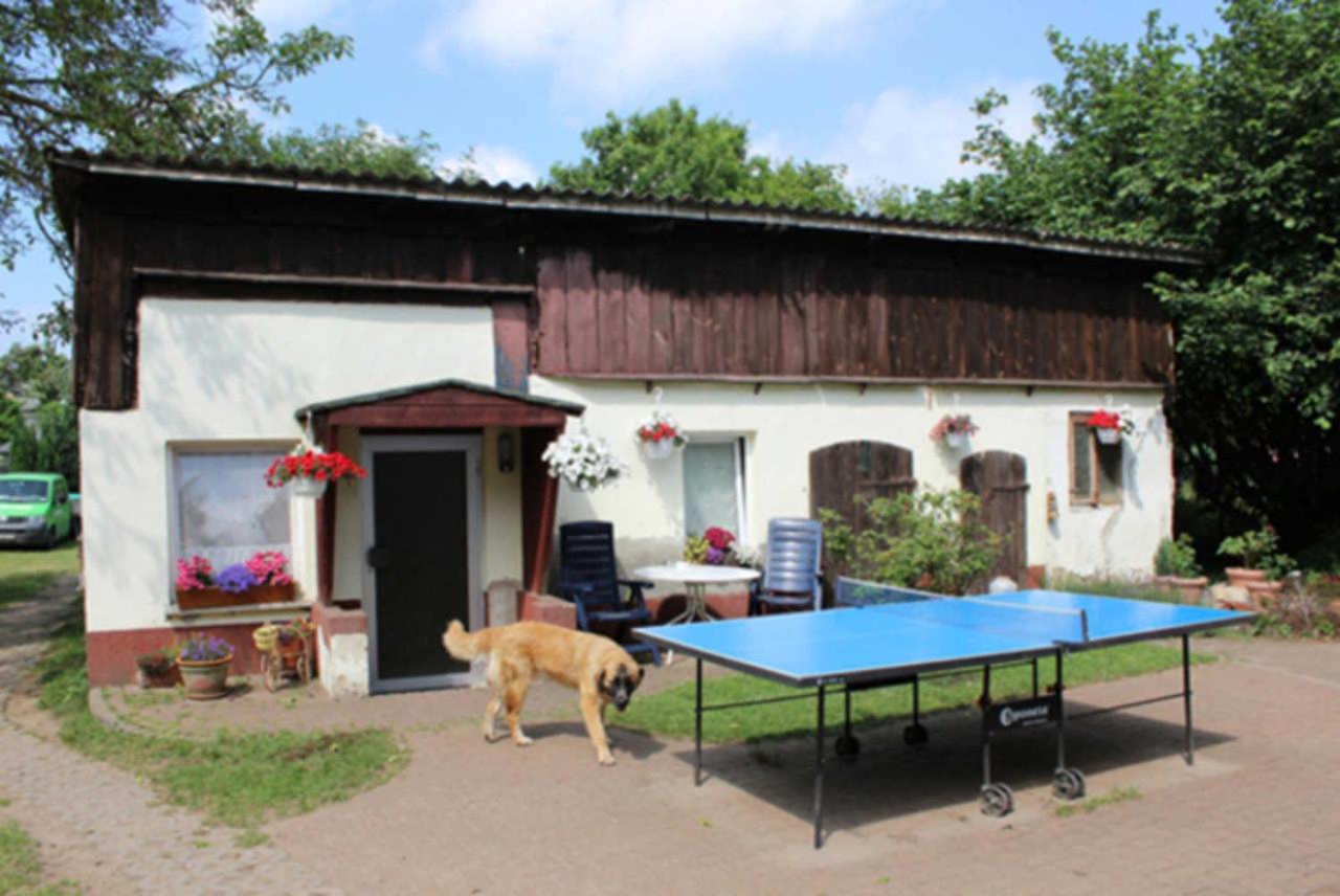 Apartmán Heidi Zinnowitz Exteriér fotografie